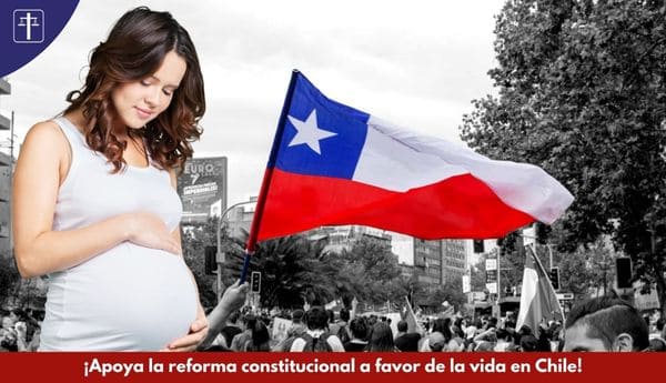 Reforma constitucional que defiende la vida